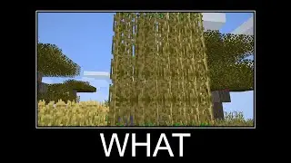 Minecraft Wait What Meme #6