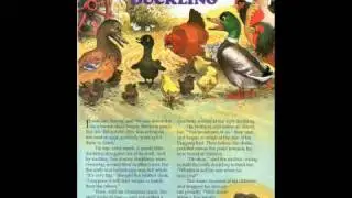 The Ugly Duckling