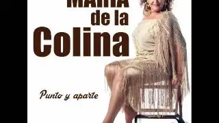 MARÍA DE LA COLINA. ¿Cómo quieres que te olvide? (Audio oficial)