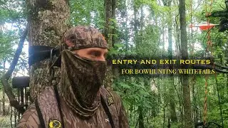 Understanding Entry and Exit Routes for Bowhunting Whitetails
