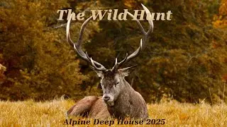 Der Wilde J&auml;ger (The Wild Hunt) &mdash; Alpine Deep House Myth 2025