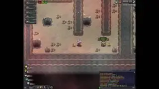 Pokemon Revolution Online - Hoenn 21 Arena 4 (Flannery) (first)