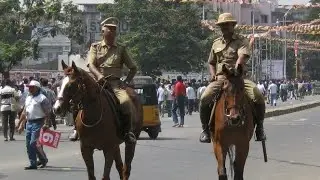 TamilNadu Traffic 🚦 Police | தமிழ்நாடு காவல்துறை குதிரைப்படை 🐴 |  TN-Police Horse 🐎 Force