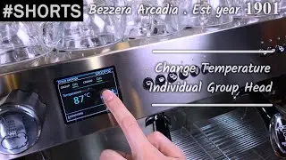 (250) How to ( TCI ) change group head temperature Bezzera Arcadia Coffee Machine @MalaysiaBarista