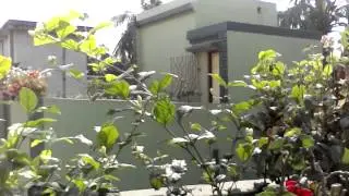 Swipe Telecom Ultimate Front Camera Video Sample