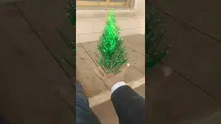 What is a magic Christmas tree #hmshortclips #magic#tree #blmagic #funnyvideo #shortfeed #cristmas