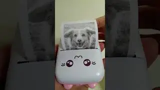 THIS printer makes it super easy to capture moments #photooftheday  #positivevibes #dog