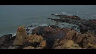 Pre Wedding Song | Romantic Indian Pre Wedding Video | I&rsquo;m In Love