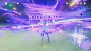 RAIDEN SHOGUN 1 MILLION DAMAGE C6 R5