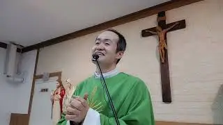주일 교중 [치유, 일치, 평화에 대한 이야기들, 하느님의 어린양] 2026년 1월 18일, 연중 제2주일 (이병근 신부) 영흥 성당