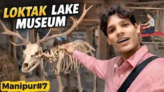 Loktak Lake Museum 😱 | Animals Skeleton Inside | Manipur Vlog #Manipurvlog 