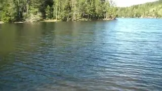 Elv&aring;ga Badedam ved Mariholtet, nord for demningen (Fri-Elv&aring;ga)