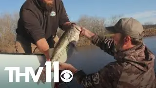 Legacy Lunker Program | Outdoor Report