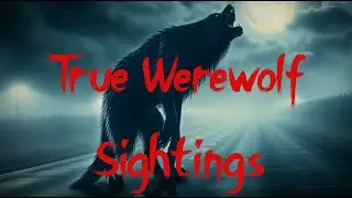 &ldquo;The Beast of Bray Road &ndash; Wisconsin&rsquo;s Real Werewolf (Creepy Story for Sleep)
