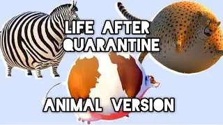 Life After Quarantine - Animal Version | Fun With Quarantine | CritiConscience