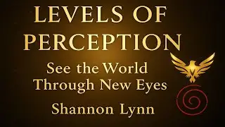 Levels of Perception | How You See the World Shapes What You Manifest