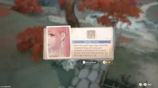 Infinity Nikki Visiting Snow Accessory Location on Danqing Island