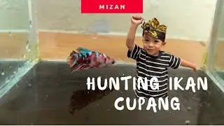 Hunting Ikan Cupang Bersama Anak