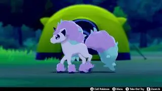Galarian Ponyta In Camp - Pokemon Sword & Shield