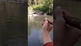 Mancing melem teknik nutul khas temanggung #shortsvideo #mancing #melem #nutulmelem #temanggung