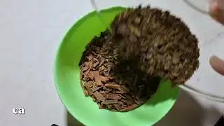 5 Menit Ritual Pagi Sehatku! Resep Rahasia Bikin Fit Tea Cinnamon