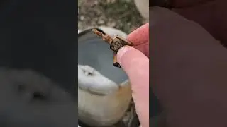 How to throw broken keys into the water #tutorial #absurd #uselessthings #satisfying