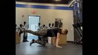 Bird Dog - Lower Extremity Raises, Banded Lumbar Extension
