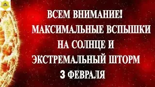 ВСЕМ ВНИМАНИЕ! МАКСИМАЛЬНЫЕ ВСПЫШКИ НА СОЛНЦЕ И ЭКСТРЕМАЛЬНЫЙ ШТОРМ 3 ФЕВРАЛЯ 2026!