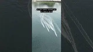 🐬 Pod of Robots Explore the Depths of the Ocean (Jaia Robotics)