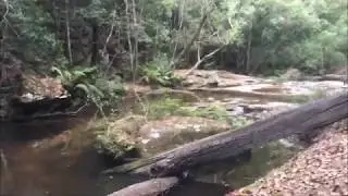 Brisbane Water National Park