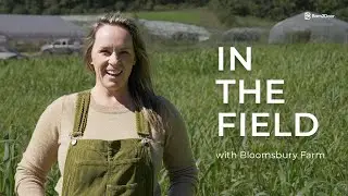 In the Field: Bloomsbury Farm