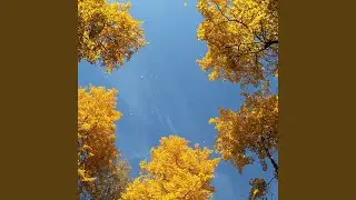 Небо пожелтело