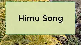 অফুরন্ত ভালোবাসি তোমাকে//all part//voice:হিমু-সোনালিকা//রোমান্টিক লাভ স্টরি গল্প