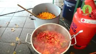 PAPPSATT review