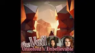 Michael Waxman | What drives violence from online insults? | The Veil: Unsolved & Unbelievable