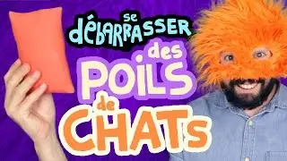 D&Eacute;BARRASSEZ VOUS DES POILS DE CHATS - #Copainduweb
