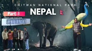  (Part-1)  . Welcoming the New Year in the Wild 🐘✨ | Chitwan National Park Jeep Safari Vlog