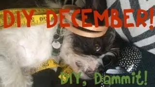 HOW TO DIY, DECEMBER! -- DIY, Dammit!