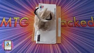 Mail Time #12 - Doc MTG & Exotic MTG