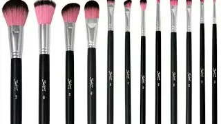 Review: Sedona Lace 12 Piece Professional Brush Set / Midnight Lace Brushes