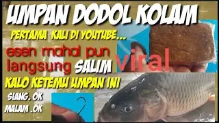 UMPAN IKAN MAS PALING JITU..UMPAN DODOL KOLAM PALING SIMPEL..