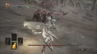 [111 Builds] Silver Knight vs Gael (Dark Souls III: Cinders Mod)