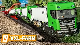 LS19 XXL Farm #117: Viele ABFAHRER im Einsatz: R&uuml;benmiete abtragen | LANDWIRTSCHAFTS SIMULATOR 19
