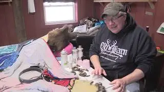 Casting Bear Claws for A Black Bear Rug - Taxidermy Tips