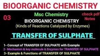 Transfer of sulphate-Concept+ Mechanism +Function #mscchemistrynotes #bioorganic  @itschemistrytime