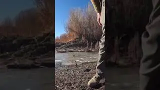 Cold water sucks&hellip; #getoutdoorsnv #nevadastateparks #fishing #explorenevada