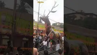 Vasco Carnival 2023 CI-19
