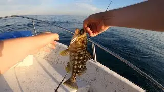 Long Beach Fishing (Legal Bass)