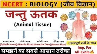 जन्तु ऊतक | Animal tissue in hindi |jantu utak | Biology | science by ganesh sir #tissue #biology