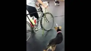 Riley's 1st bike ride